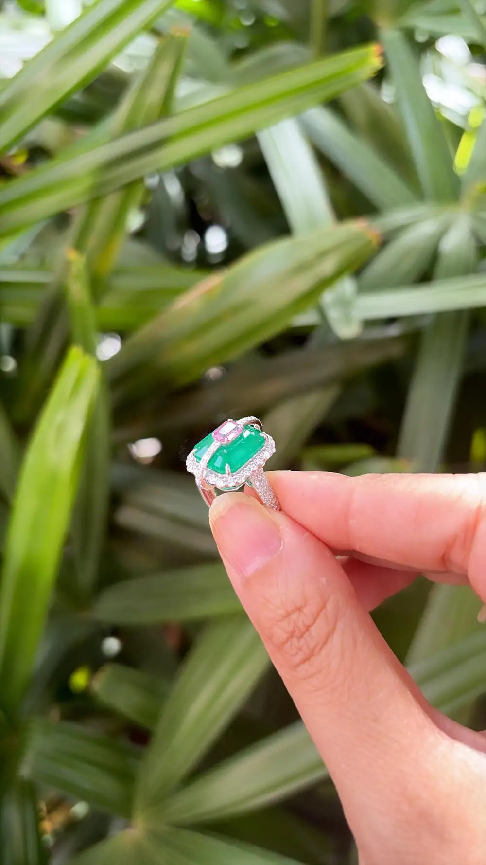 Zambian Emerald & Pink Sapphire Gemstone Ring - 18k White Gold Diamond Ring