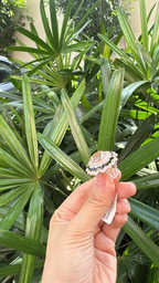 18k Rose Gold Diamond Cocktail Ring - Natural Morganite & Black Enamel Wedding Ring